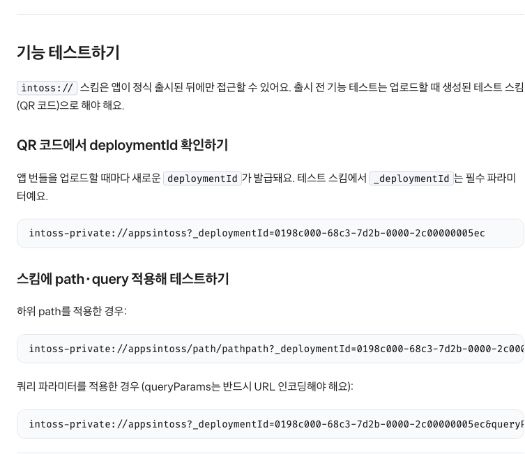 앱인토스 미니앱 테스트 문서의 기능 테스트하기 절. intoss-private 테스트 스킴과 배포 번호, path와 query를 붙이는 예시가 보인다