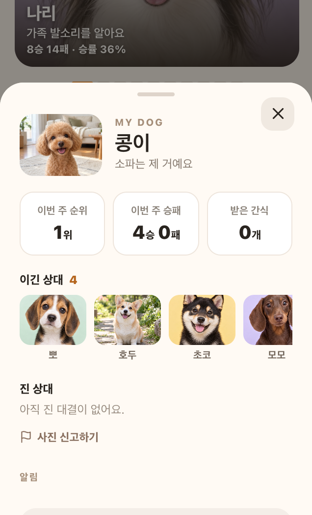 멍스타그램 내 강아지 리포트 시트. 이번 주 순위, 이번 주 승패, 받은 간식 칸과 이긴 상대 사진 목록이 보인다